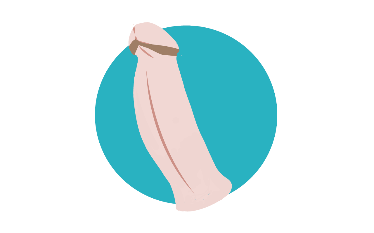 tipos de penes plátano