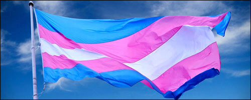 Portada Transfobia hecha autobus en Madrid