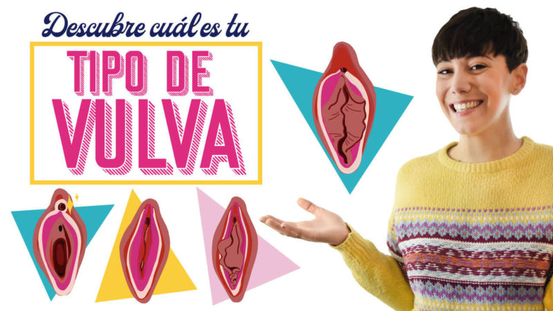 tipos de vaginas